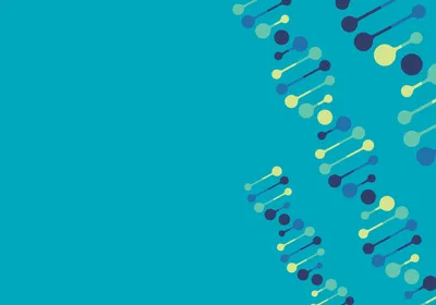 Graphic of three double-stranded DNA helices with bases colored yellow, light green, blue, and dark blue